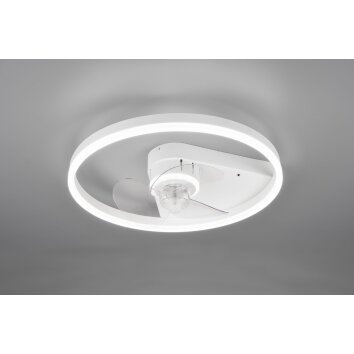 Reality BORGHOLM ceiling fan LED white, 1-light source, Remote control