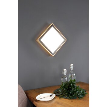 Luce Design SOLSTAR Wall Light LED Ecru, black, 1-light source