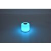 Lutec NOMA Table lamp LED white, 1-light source, Colour changer
