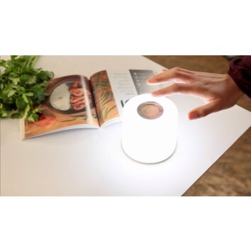 Lutec NOMA Table lamp LED white, 1-light source, Colour changer