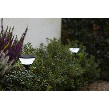 Lutec KARLO path light LED black, 1-light source, Motion sensor, Colour changer