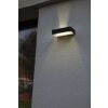 Lutec FADI Outdoor Wall Light LED black, 1-light source, Motion sensor