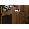 Lutec FRAN Outdoor Wall Light LED black, 1-light source, Motion sensor