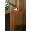 Lutec FRAN Outdoor Wall Light LED black, 1-light source, Motion sensor