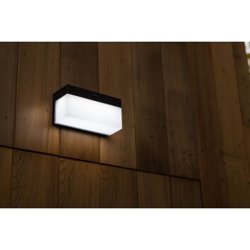 Lutec FRAN Outdoor Wall Light LED black, 1-light source, Motion sensor
