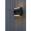 Lutec CONROY Outdoor Wall Light LED anthracite, 1-light source