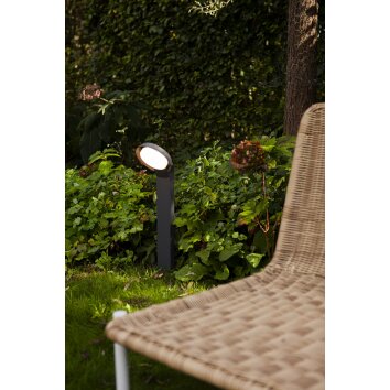 Lutec POLO path light LED anthracite, 1-light source