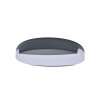 Lutec SWEEP outdoor ceiling light LED anthracite, 1-light source