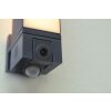 Lutec CUBA Outdoor Wall Light LED anthracite, 1-light source, Motion sensor
