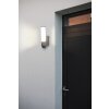 Lutec ELARA Outdoor Wall Light LED stainless steel, 1-light source, Motion sensor