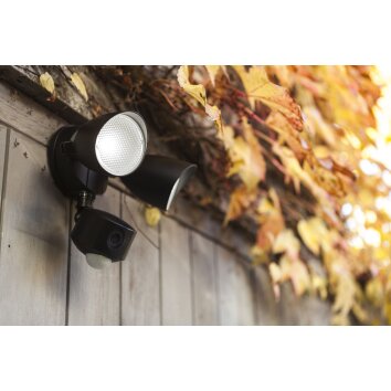 Lutec DRACO Outdoor Wall Light LED black, 1-light source, Motion sensor