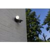 Lutec SHRIMP Outdoor Wall Light LED black, 1-light source
