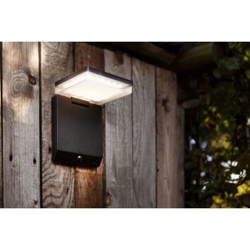 Lutec MOZE Outdoor Wall Light LED black, 1-light source, Motion sensor