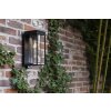 Lutec FLAIR Outdoor Wall Light black, 1-light source, Motion sensor