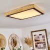 CORINTO Ceiling Light LED Ecru, black, 1-light source