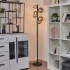 CHEHALIS Floor Lamp LED black, 6-light sources