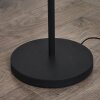 CHEHALIS Floor Lamp LED black, 6-light sources