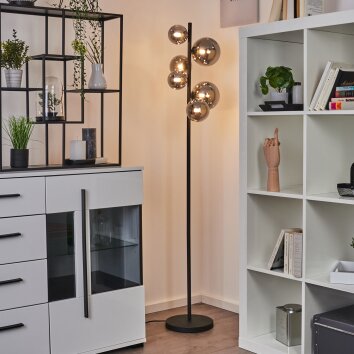 CHEHALIS Floor Lamp LED black, 6-light sources