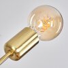 NOVILLEROS Pendant Light brass, 8-light sources
