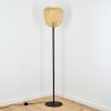SOLERA Floor Lamp black, 1-light source