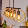 HICKMANN Pendant Light black, 5-light sources