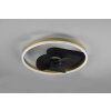 Reality BORGHOLM ceiling fan LED gold, black, 1-light source, Remote control