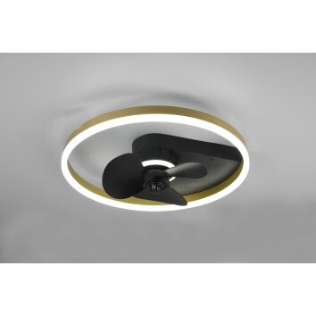 Reality BORGHOLM ceiling fan LED gold, black, 1-light source, Remote control