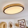 CORINTO Ceiling Light LED Ecru, black, 1-light source