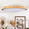 CORINTO Ceiling Light LED Ecru, black, 1-light source