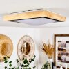 CORINTO Ceiling Light LED Ecru, black, 1-light source