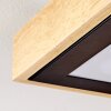 CORINTO Ceiling Light LED Ecru, black, 1-light source