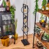 ASSINIBOIA Floor Lamp black, 3-light sources
