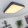 Batamoto Ceiling Light LED black, white, 2-light sources, Remote control, Colour changer