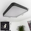 Batamoto Ceiling Light LED black, white, 2-light sources, Remote control, Colour changer