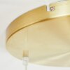 Degevos Pendant Light gold, 3-light sources