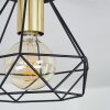 Denno Ceiling Light gold, black, 1-light source