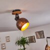 Imana Ceiling Light Dark wood, black, 1-light source
