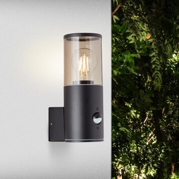 Brilliant SERGIORO Outdoor Wall Light anthracite, 1-light source, Motion sensor