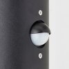 Brilliant SERGIORO Outdoor Wall Light black, 1-light source, Motion sensor