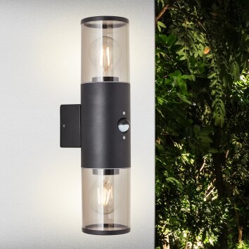 Brilliant SERGIORO Outdoor Wall Light black, 1-light source, Motion sensor