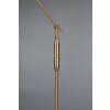 Trio FRANKLIN Floor Lamp LED antique brass, 1-light source