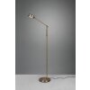 Trio FRANKLIN Floor Lamp LED antique brass, 1-light source