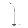 Trio FRANKLIN Floor Lamp LED anthracite, 1-light source