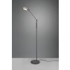 Trio FRANKLIN Floor Lamp LED anthracite, 1-light source