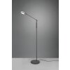 Trio FRANKLIN Floor Lamp LED anthracite, 1-light source