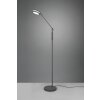 Trio FRANKLIN Floor Lamp LED anthracite, 1-light source