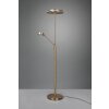 Trio FRANKLIN Floor Lamp LED antique brass, 2-light sources