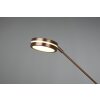 Trio FRANKLIN Floor Lamp LED antique brass, 2-light sources