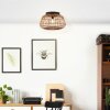 Brilliant NIKKA Ceiling Light black, 1-light source