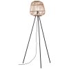 Brilliant NIKKA Floor Lamp black, 1-light source